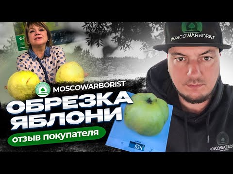 Видео: Обрезка яблони. Отзыв клиента.