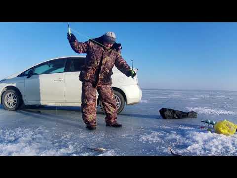 Видео: Рыбалка на комбайны! Ловля наваги на КОМБАЙНЫ!