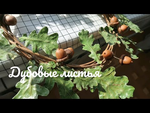 Видео: Как сделать вечно зелёный венок из дубовых листьев / осенний венок