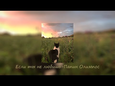 Видео: Рандомный плейлист для хорошего настроения #5 💜