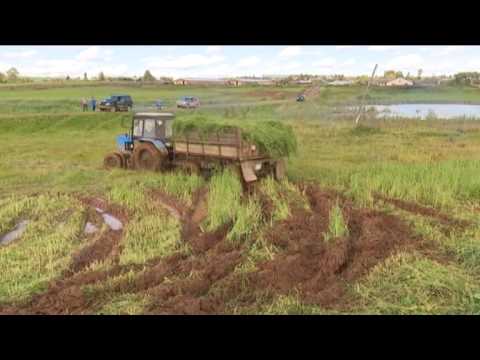 Видео: 09 09 15 В Кезском районе объявлена чрезвычайная ситуация