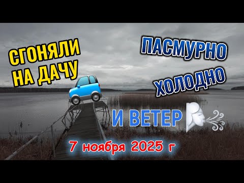 Видео: Сгоняли на дачу 100 км туда и 100 км обратно 7 ноября 2025 г