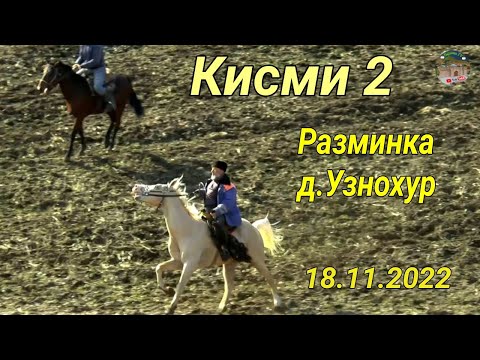 Видео: Бузкаши дар н Балчувон д Узнохур Разминка Кисми 2