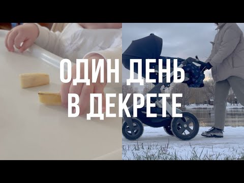 Видео: Один день с 7-месячным младенцем