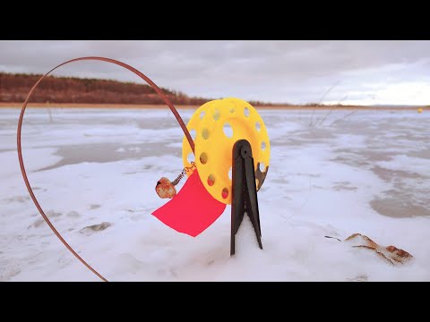 Видео: Отличная рыбалка на жерлицы перед Новым  2025 годом.