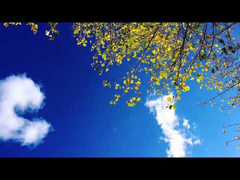 Видео: Айқын - Өзіңді ойламауға болама