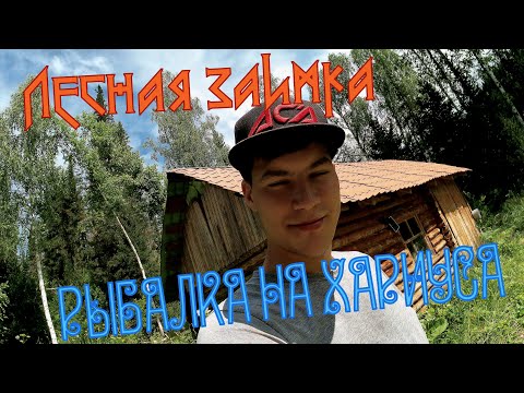 Видео: Рыбалка на хариуса, река Белопорожная Уба | Grayling fishing, Beloporozhnaya Uba River