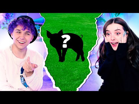 Видео: 🐾 МЫ завели ЭКЗОТИЧЕСКОГО ПИТОМЦА 🐸