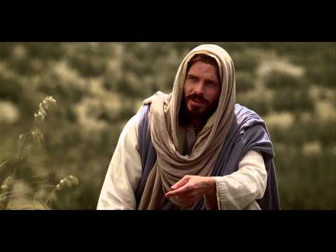 Видео: Вы сделали это Мне