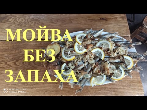 Видео: Вкуснейшая мойва на садже. Мойва без запаха на костре. #22