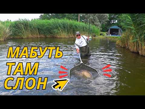 Видео: Зірвалися з ланцюга - шалений темп. Монстр на zig rig.
