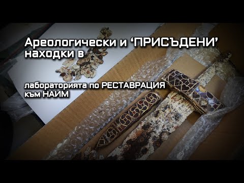 Видео: Спасени от иманяри мечове и монети, както и стенописи от разрушена църква в лабораторията на БАН