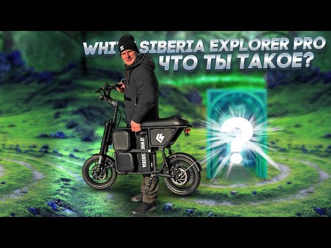 Видео: White Siberia Zver, он же Explorer PRO, что за зверь такой?