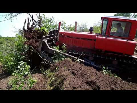 Видео: часть 1.ДТ 75 на корчовке старого сада