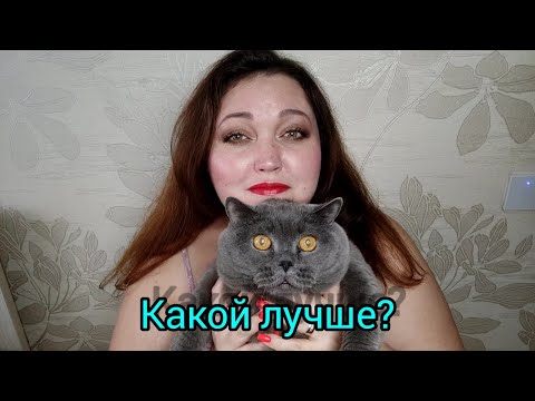 Видео: Сравниваю The Queen of Sheba Attar Collection, Wild Python Mancera, KILIAN Good Girl Gone Bad!