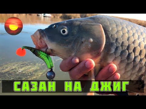 Видео: Сазан на джиг / Каспийское море / Ловля сома и судака / Рыбалка с егерем #3