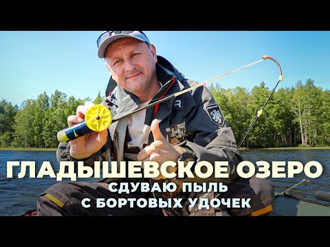 Видео: Гладышевское озеро. Сдуваю пыль с бортовых удочек. Рыбалка на бортовые удочки