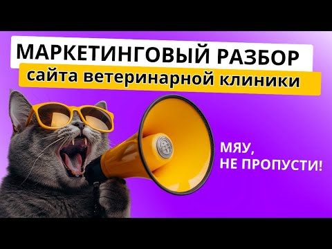 Видео: Разбор сайта от маркетолога: ветеринарная клиника БИР