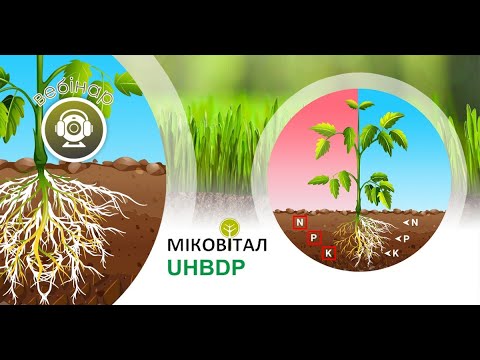 Видео: Вебінар «Мікориза: секрети відновлення родючості ґрунту»