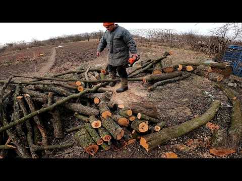 Видео: Яка бензопила краще. Штіль чи Дніпро М