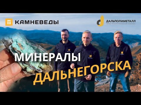 Видео: МИНЕРАЛЫ ДАЛЬНЕГОРСКА