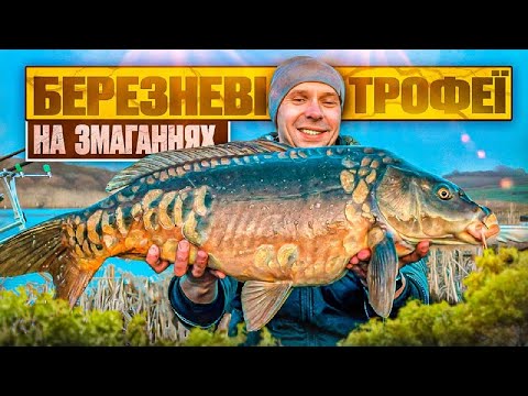 Видео: Ловля коропа раньою весною