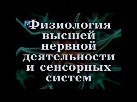 Видео: Физиология высшей нервной деятельности и сенсорных систем