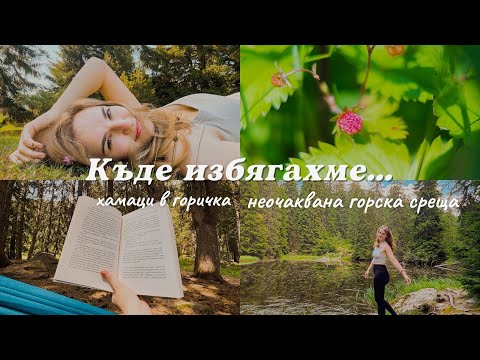 Видео: Всичко, от което имах нужда...