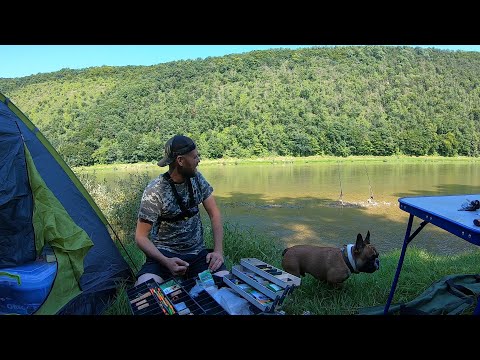 Видео: ОТДЫХ с ПАЛАТКОЙ на ДНЕСТРОВСКОМ КАНЬОНЕ.Дикая ПРИРОДА.Мясо на КОСТРЕ.Купаемся.ЛОВИМ РЫБУ!