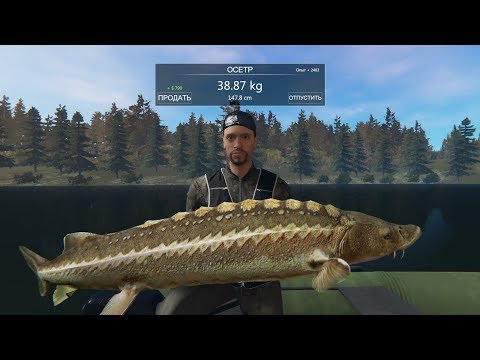 Видео: Professional Fishing - Ловим осетров и обкатываем квадроцикл #5