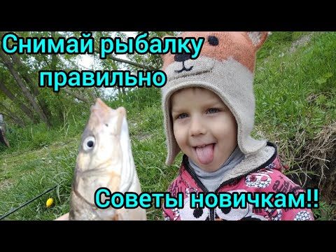Видео: Рыбалка на ютубе в 2023 году. На что снимать новичку? Как набрать 1000 подписчиков? лайфхак!