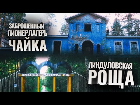 Видео: Рощино. Линдуловская Роща. Заброшенный пионерлагерь Чайка. Могила Э. Седергран и Тотти