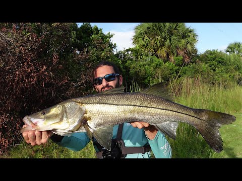 Видео: Рыбалка на обочине дороги во Флориде Эверглейдс на БОЛЬШОГО окуня