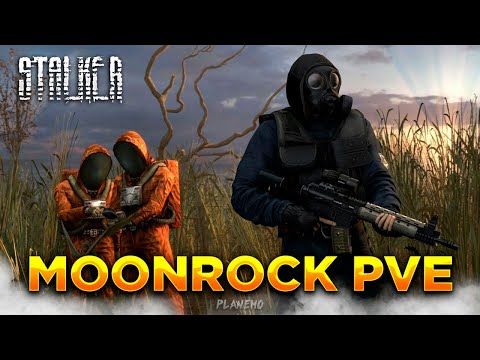 Видео: DAYZ STALKER | ПРОЕКТ MOONROCK PVE | БОЛОТО, АРТЕФАКТЫ, ДАЛЬШЕ ПО КВЕСТАМ #5