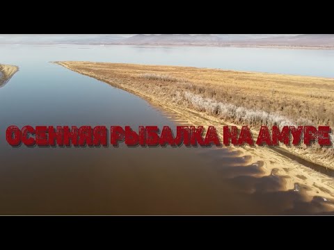 Видео: Осенняя ночная рыбалка на резинку на Амуре
