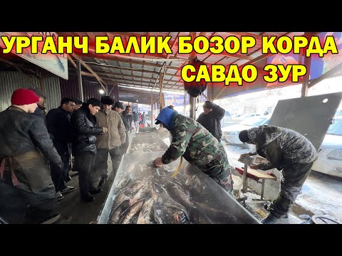 Видео: УРГАНЧ БАЛИК БОЗОР КОРДА САВДО ЗУР | URGANCH BALIQ BOZORI #baliq