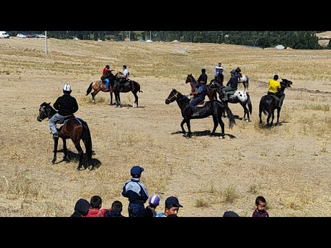 Видео: Аралда той байге миллион сом