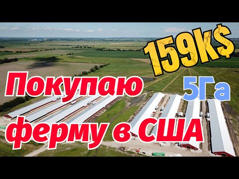 Видео: Покупаю заброшенную ферму в США для содержания овец