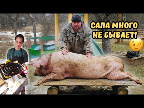 Видео: Аэрация пруда🌊 Свежина🐖 Кровяная колбаса😋 ВЫПУСК 11