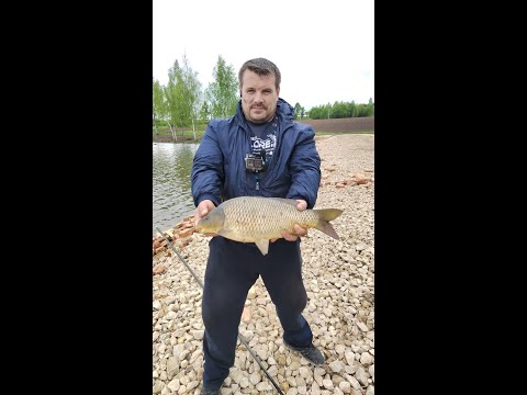 Видео: КАРП НА КОММЕРЧЕСКОМ ВОДОЕМЕ В КОКИНО! ЭЛЬДОРАДО ПО КАРПУ И ОСЕТРУ!
