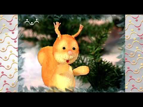 Видео: Шишкин Лес.  Зоология.  Птицы зимой
