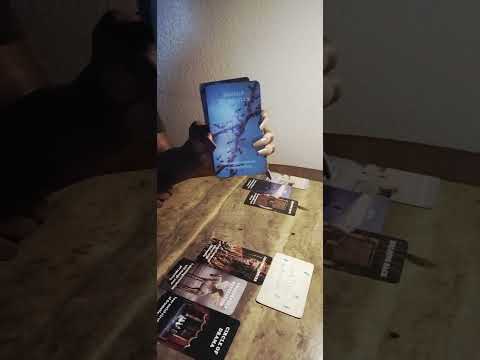 Видео: Группы/Семьи потеряли это😱Стресс из-за того, что они послали Ангела смерти💀Круг назад👀😈wnts😵👻🪦