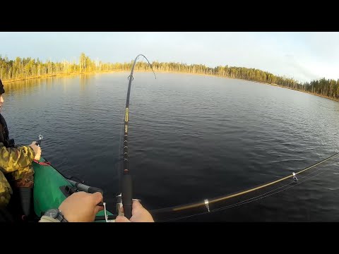 Видео: Карелия. Лучшая рыбалка осени.