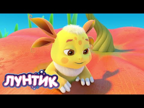 Видео: Лунтик 🎃 Тыквенный спас 😂🎃👻🦇 Сборник мультиков для детей