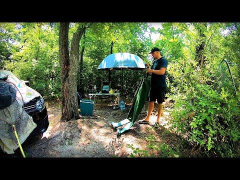 Видео: Пішло діло на Дніпрі !!! Дуже потужна рибалка по крупняку!
