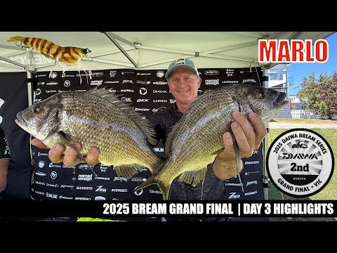 Видео: 2025 BREAM GF, день 3, Марло, основные моменты