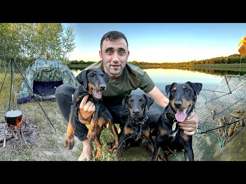 Видео: 24 Часа! На диком озере! С Тони Мартой и Беном! Ловля раков на раколовки! Подводная охота