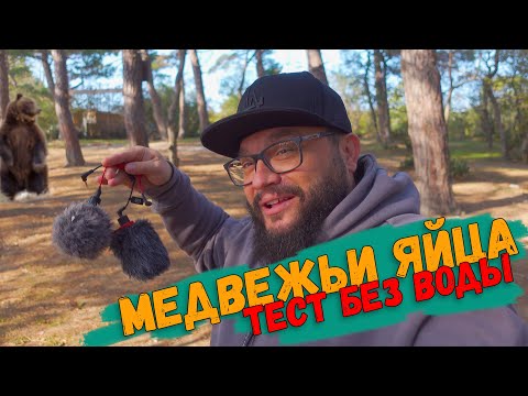 Видео: НАКАМЕРНЫЕ МИКРОФОНЫ (дешевки против дорогих)