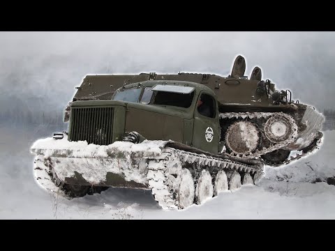 Видео: Дед встретил Муху и вот что случилось