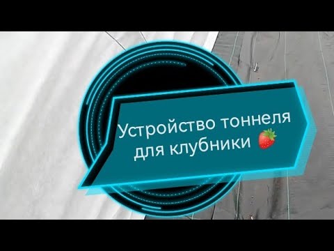 Видео: устройство тоннеля для клубники